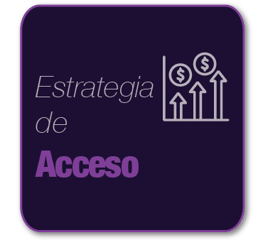 Access Strategy (Service)