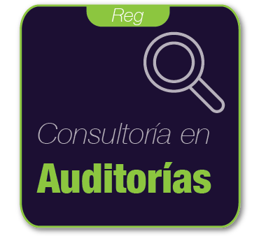 Consultoría Control de Auditorías (Servicio)  