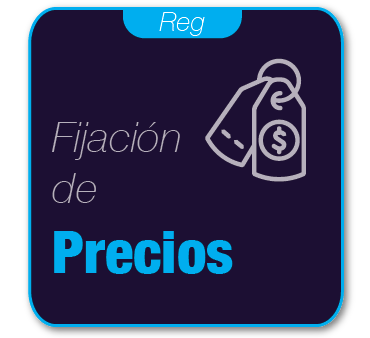 Fijación de Precios a Productos Regulados y Liberados (Servicio)